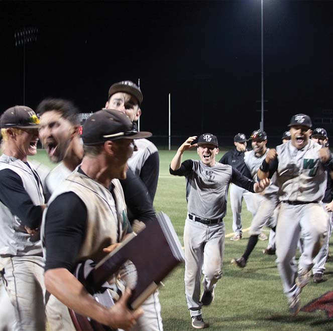 Baseball players cheering with excitement