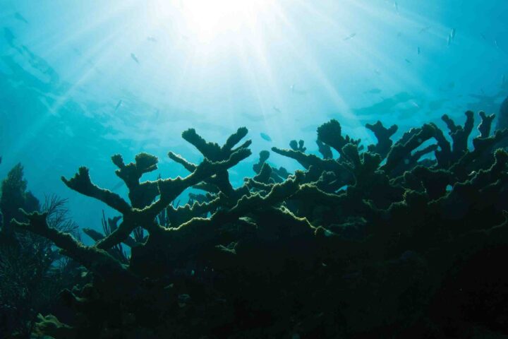 View from under the ocean