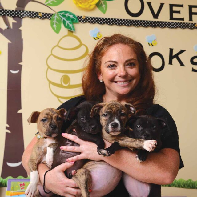 Alumni holding puppies in classroom.